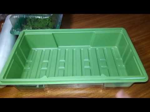 Видео: Бесплатный парник (тепличка) из подручных средств