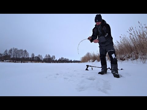 Видео: ДВА ДНЯ ПРИЕЗЖАЛ В ЭТО МЕСТО! ИСКАЛ И НАШЁЛ! ДУША В ПЯТКИ ОТ ТАКИХ ПОКЛЁВОК на балансир! Рыбалка.