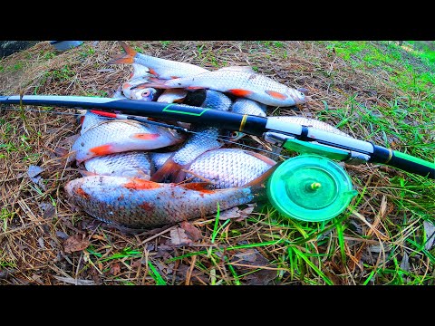 Видео: Плотва на мормышку ! Не успеваю бросать в садок ! Ловля плотвы весной на поплавок