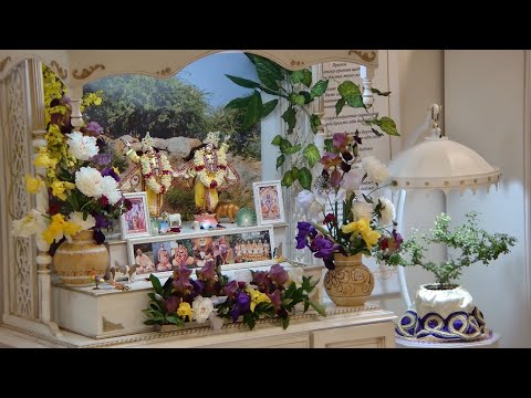 Видео: Шримад Бхагаватам  4.26.14  Вамана прабху  13.09.2025 Новый Маяпур