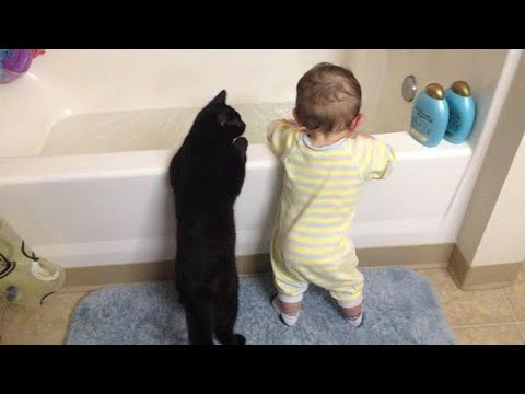 Видео: Когда кот слишком опекает и становится учителем ребёнка ❤️