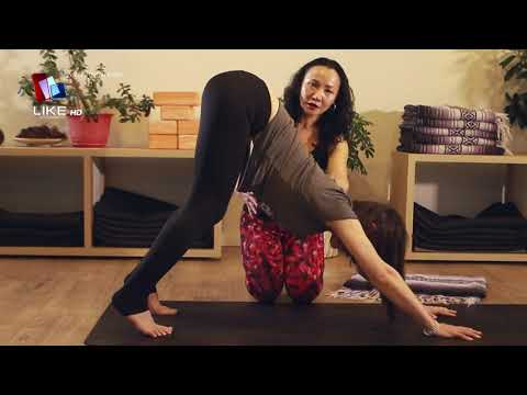 Видео: Downdog буюу нохой байрлал иог #LIKEHD