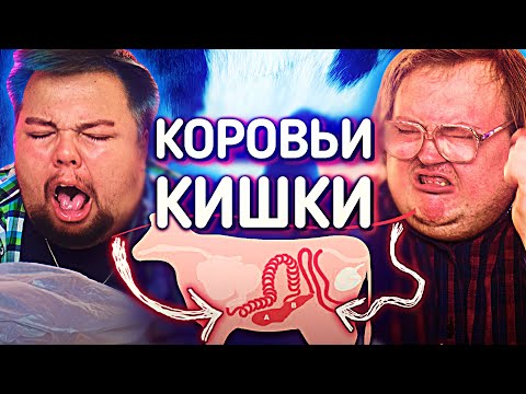 Видео: КОРОВЬИ КИШКИ