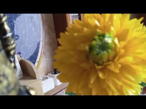 Видео: Мастер - Класс. БОЛЬШАЯ ХРИЗАНТЕМА ИЗ ПОЛИЭТИЛЕНОВЫХ ПАКЕТОВ.