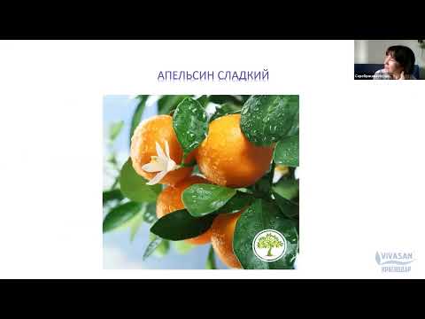 Видео: Аромапсихология Апельсин