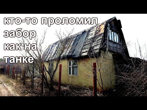 Видео: Дачный влог.Кто то сломал забор и уронил сосну.