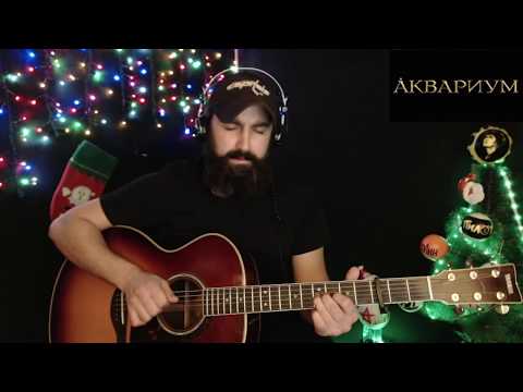 Видео: Серебро Господа моего - Аквариум (кавер - Виталий Подземный)
