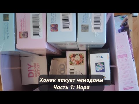 Видео: Хомяк пакует чемоданы. Часть 1: Нора
