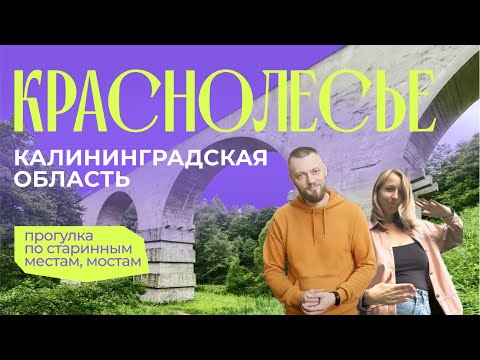 Видео: Краснолесье Часть 1 | Тур Маршрут 9 мест | Калининградская область