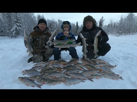 Видео: ОН СЧАСТЛИВЫЙ И НЕМНОГО УСТАВШИЙ ОТ ТАКОЙ ЗИМНЕЙ РЫБАЛКИ! РЫБА КЛЮЁТ ВСЕГДА, ДАЖЕ В ГЛУХОЗИМЬЕ)!