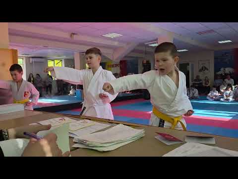 Видео: Атестація з карате клубу Тигрьонок 2 листопада 2025 часть 2
