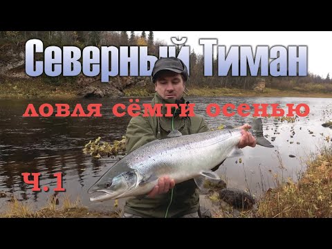 Видео: Ловля сёмги осенью. Рыбалка на Северном Тимане. Часть 1.