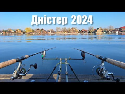 Видео: Дністер 2024. Риболовля на САЗАНА весною. Короп на ФЛЕТ. Смажимо шашлики на природі