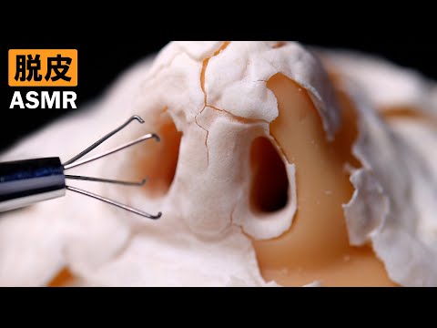 Видео: ASMR | Удовлетворен! Ролевая игра «Отказ от носа, пупка и ушей с помощью специального оборудования»