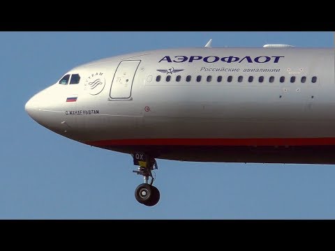 Видео: Аэропорт Шереметьево, Жаркий Август | PlaneSpotting 2018