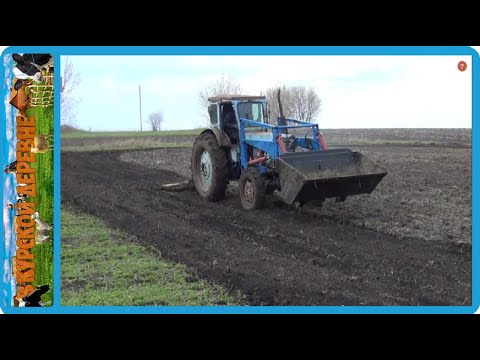 Видео: отходы  в доходы посев травы вручную при помощи трактора, обновляем пастбище для коров