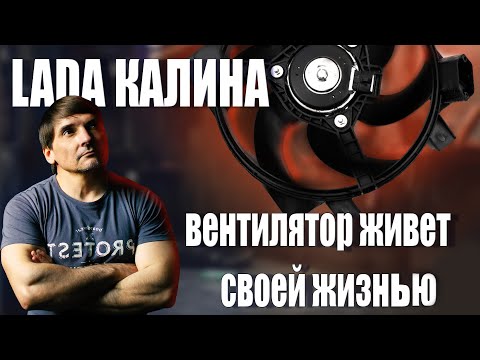 Видео: Lada Калина  и странное поведение вентилятора охлаждения