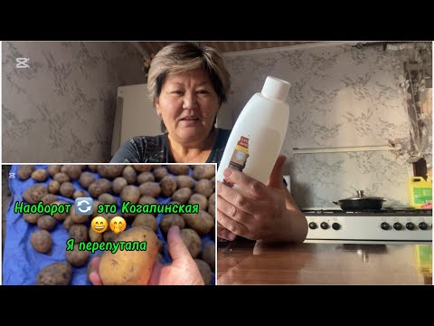 Видео: 6.10.25 были заморозки. Перебрала картошку. Просто видео , так не о чем 😁