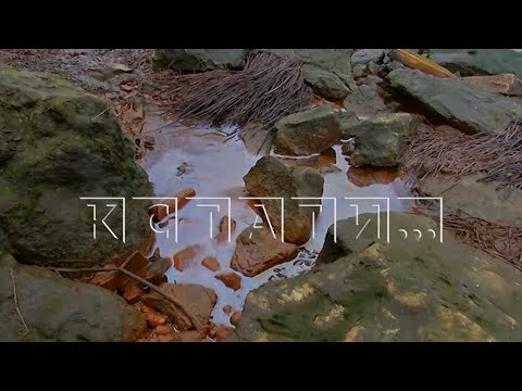 Видео: Нефтяные отходы затянули пленкой Волгу