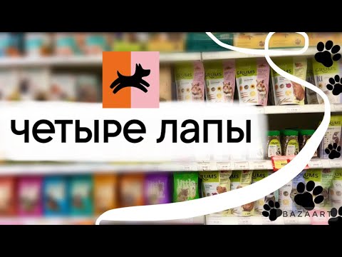 Видео: Идем за покупками для крыс в Четыре лапы