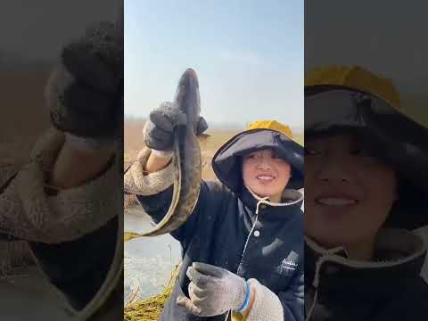 Видео: Рыба JCB 🐠🐟 Охота на реке [ 135 ]