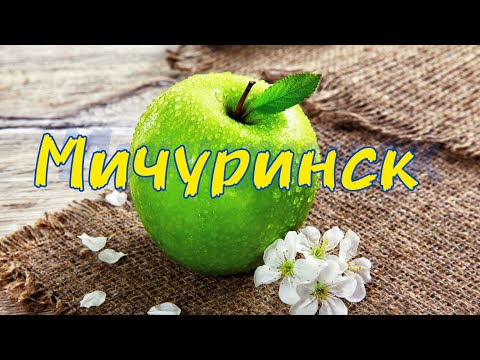 Видео: Мичуринск