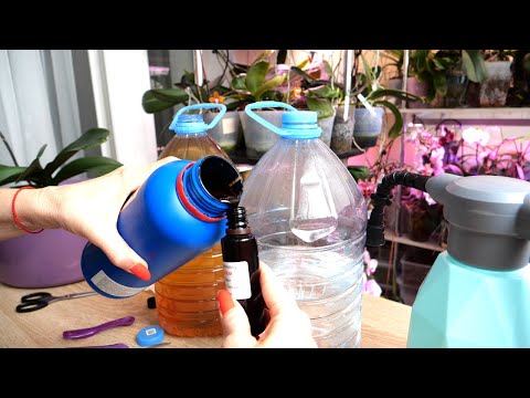 Видео: Подкормка Орхидей с лейкой и удобрением Про фигню По сухому грунту Сколько налить как полить