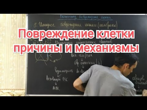 Видео: Патофизиология. Повреждение клетки-1 часть. Этиология и патогенез.