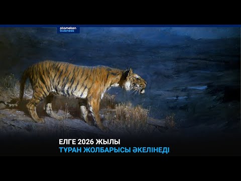 Видео: Елге 2026 жылы тұран жолбарысы әкелінеді