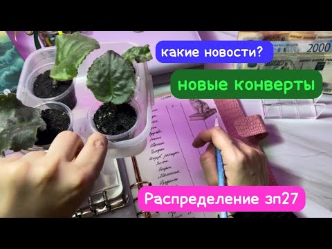 Видео: Распределение зп27💰 новые конверты 💌 большие траты 🥺