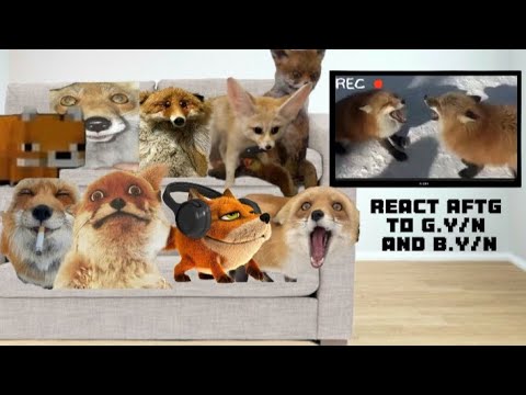 Видео: React AFTG to G.Y/n and B.Y/n|Реакция ВРИ на Д.Т/и и М.Т/и(🇷🇺/🇬🇧)