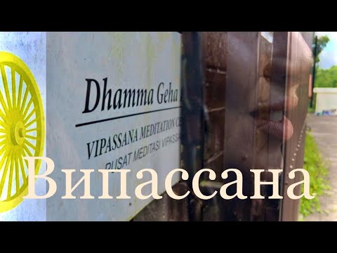 Видео: Випассана 2022 г. Бали; Будда, Гоенка.