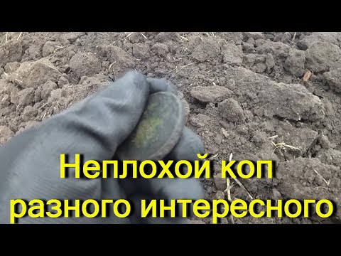 Видео: Разные неплохие находки на квазар арм . Коп с квазаром .