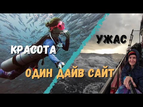 Видео: Дайвинг в Таиланде. Рай и ад на дайв сайте Sail Rock