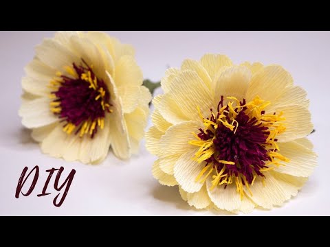 Видео: Мастер-класс цветы из гофрированной бумаги / DIY Crepe paper flowers