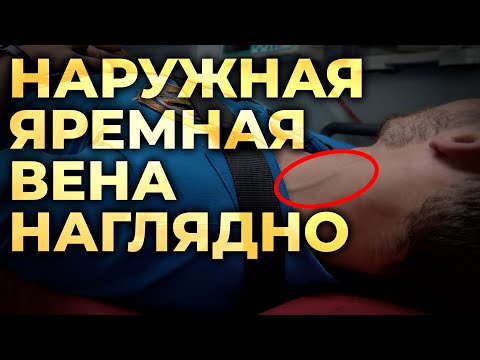 Видео: Наружная яремная вена - как улучшить визуализацию. #ПроСМП