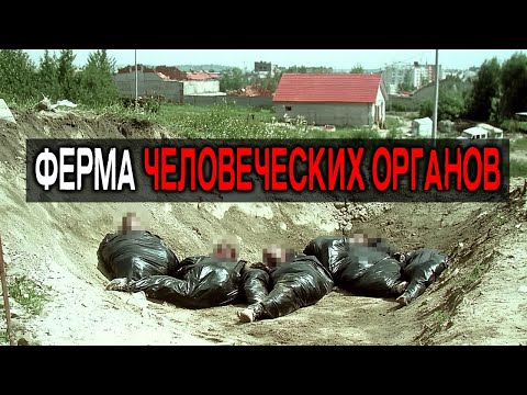 Видео: Работник Фермы рассказал как он СБЕЖАЛ с Фермы, Где Резали Людей на Органы. Истории из 90тых