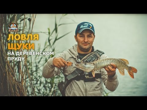 Видео: Ловля щуки на деревенском  пруду (2016 г)