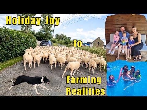 Видео: Возвращение на ферму: как совместить время, проведенное с семьей, и овцеводство