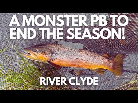 Видео: 🚨🐟Я поймал огромную форель в завершение сезона🐟🤯