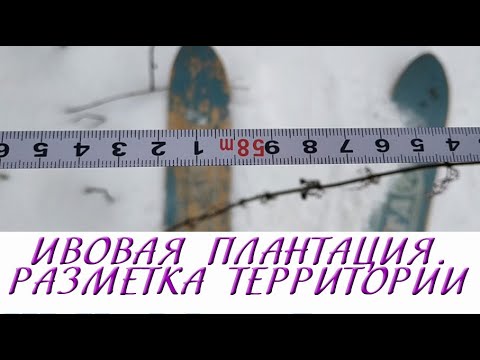 Видео: Ивовая плантация. Часть 1. Разметка территории (26.12.2022)