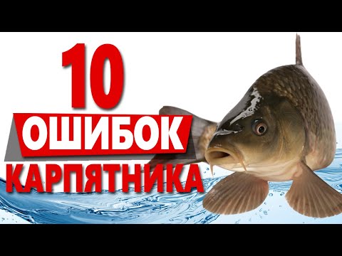 Видео: ОШИБКИ, которые допускают ВСЕ начинающие КАРПЯТНИКИ!