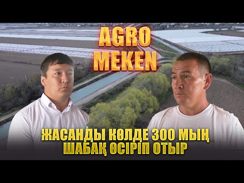 Видео: Жасанды көлде 300 мың шабақ өсіріп отыр