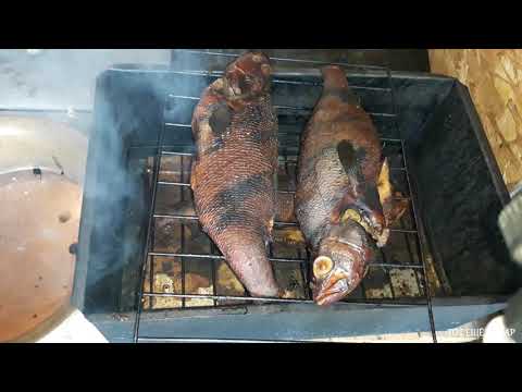 Видео: ОКУНЬ ГОРЯЧЕГО КОПЧЕНИЯ, ПОДГОТОВКА РЫБЫ И РЕЗУЛЬТАТ!