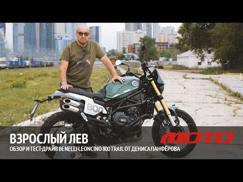 Видео: Взрослый лев – обзор и тест-драйв Benelli Leoncino 800 Trail от Дениса Панферова.