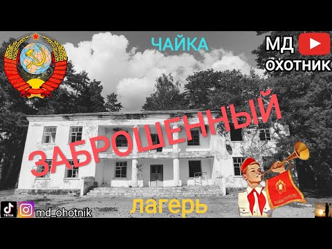 Видео: Заброшенный пионер лагерь Чайка #ссср