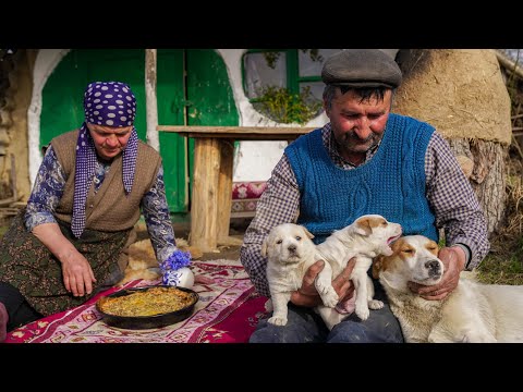 Видео: У Пузика Родились Два Щенка | Готовим Овощной Пирог