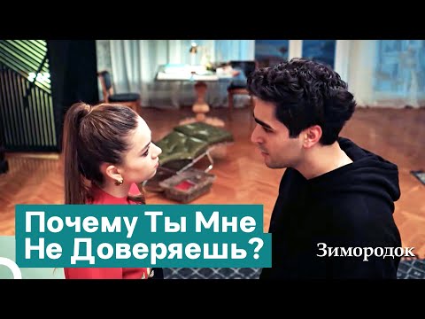 Видео: Вопрос Ферита, Разочаровавший Сейран | Зимородок