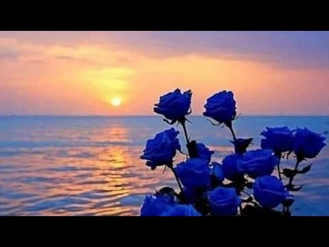 Видео: Кому Нужны Ответы? Недельная Глава Ваера 5786