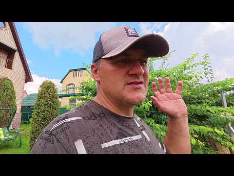 Видео: 🔴🔴УЖАСНОЕ Опыление Винограда. Хлороз на Винограде.